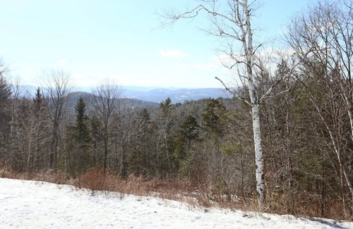 Campton Condo | One Bedroom Loft Priced Right! White Mountain Views in Waterville Estates