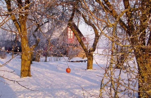 Zemgale House | One Bedroom Studio - Relax & Unwind - At peace with nature