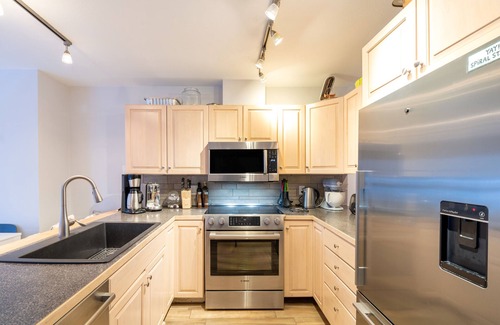 Telluride Condo | One block walk to gondola, ski lockers downstairs, River Trail close by!