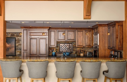 Crested Butte Condo | One-of-a-kind Ski-in/out Mountain Experience! Private HOT TUB!