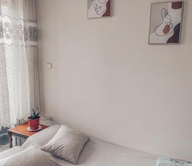 Komotini Apartment | ONE OF THE CHEAPEST IN THE CITY Eucalyptus