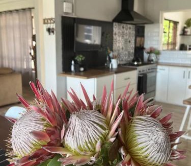 Eikenbosch House | Open living family home in the Winelands