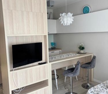 Bialystok Apartment | Opera Apartment
