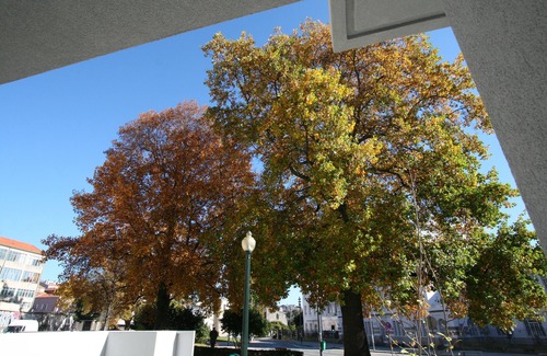 Boavista Apartment | OPO-APT 110-1 Deco apartment in city center. Peacefull, pratiical, near all!