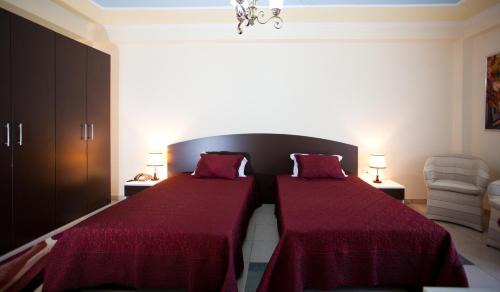 Tirana Hotel | Orchidea Hotel