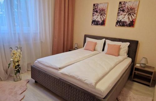 Arad Apartment | ORI Passion Apart. Malul Mureșului