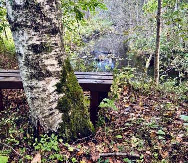 Pohja-Parnumaa Parish House | Oriküla Forest Gottage with Sauna