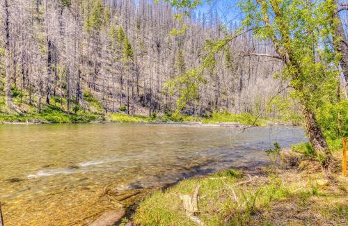 Vida Apartment | Osprey Nest Cabin