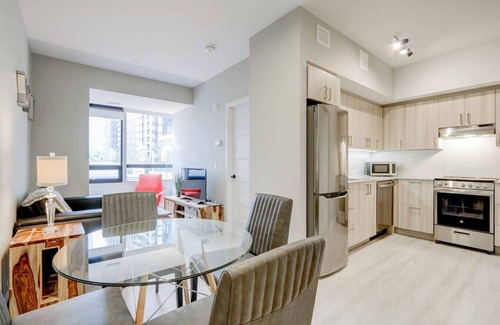 Centretown Apartment | Ottawa - The Met 2B1B