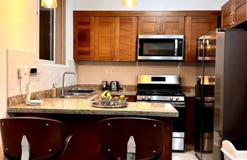 Santiago Province Apartment | Outstanding Pent House w/Jacuzzi