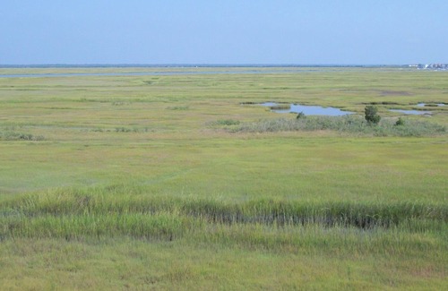 Townsend's Inlet Condo | Outstanding views of the wetlands and inland waterway