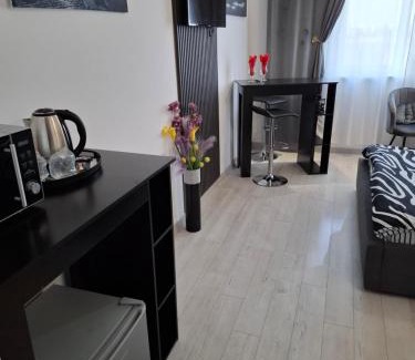 Sector 4 Apartment | Ovidiu relaxing residence