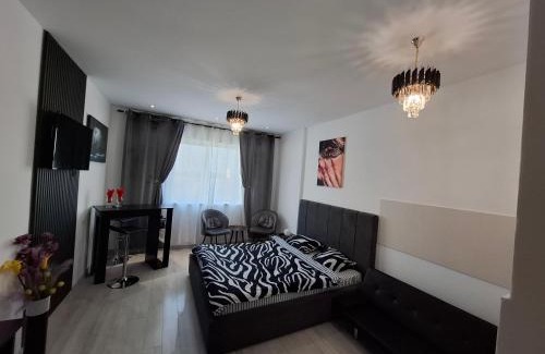 Sector 4 Apartment | Ovidiu relaxing residence