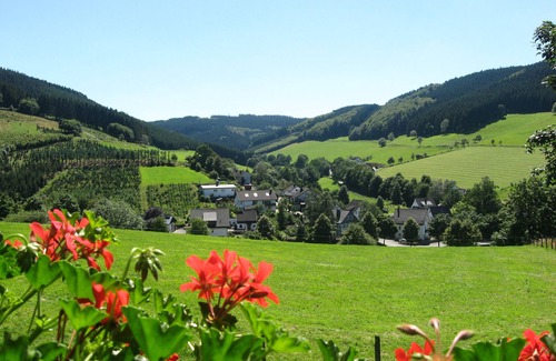 Oberhenneborn Apartment | Owl's nest, 46sqm, 1 bedroom, max. 4 persons