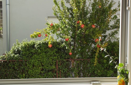 Kastel Stari Apartment | Own Private Garden+100 Mtrs To Beach, Bars & Shops