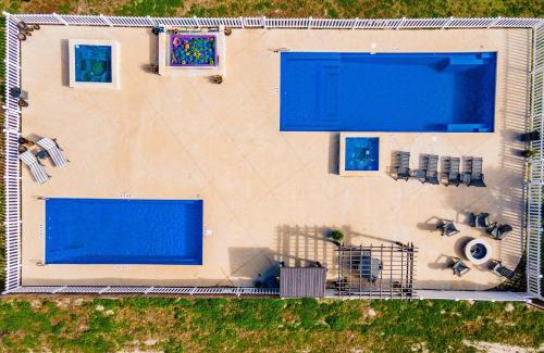 Port Aransas House | Oyster On A Half-Shell