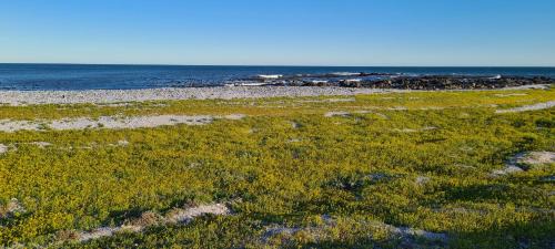 Shelley Point House | Oystercatcher Villa