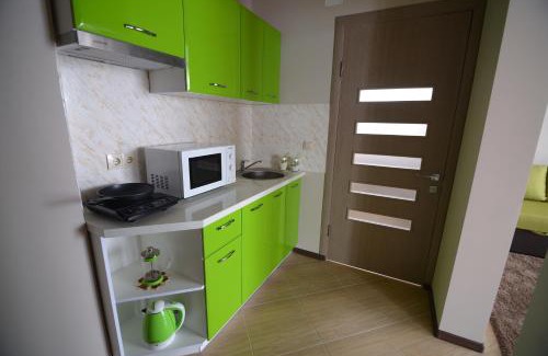 Yablunytsya Apartment | Ozone minihotel