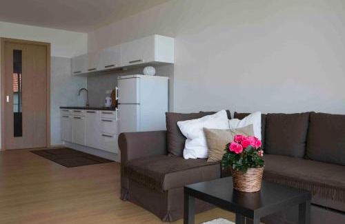 Pavlov Apartment | Pálavské Vinohrady