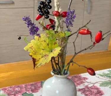 Pecsely Apartment | Pécsely apartman