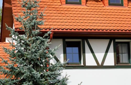 Zloty Stok House | Płonica 1