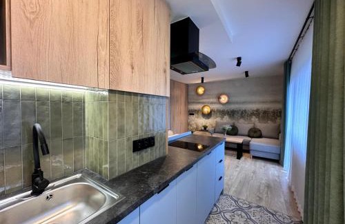 Bialka Tatrzanska Apartment | Pańska Polana Apartamenty - SALA ZABAW, przystanek SKIBUSa przed bramą