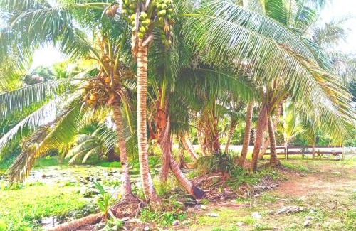Pacific Harbour House | Pacific Harbor Eco Villa and Shark Dive Accomodations