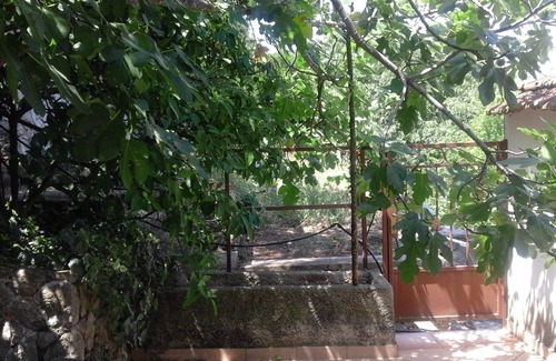 Trpanj House | Paiz Home - Near the main beach and town center