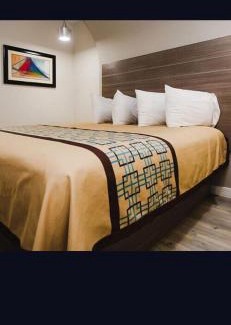 Houston Hotel | Palace inn veterans Memorial Dr