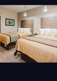 Houston Hotel | Palace inn veterans Memorial Dr