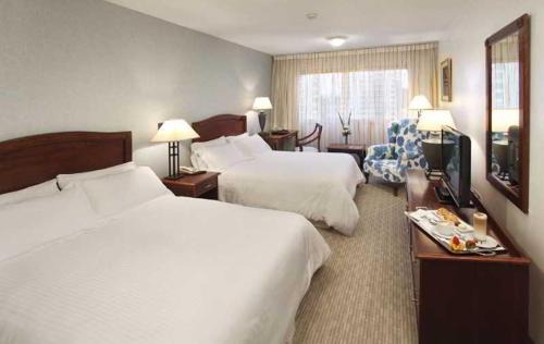 Buceo Hotel | Palladium Business Hotel