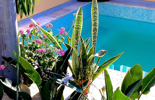 Birgu House | Pallazzetto, in Birgu/Vittoriosa, rooftop pool with views of sea and Valletta