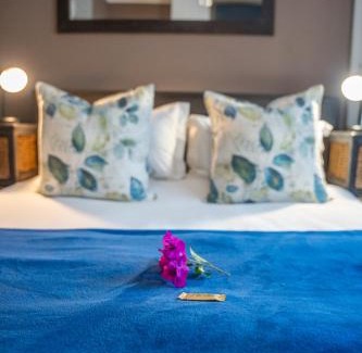 Selborne House | Palm Tree Manor