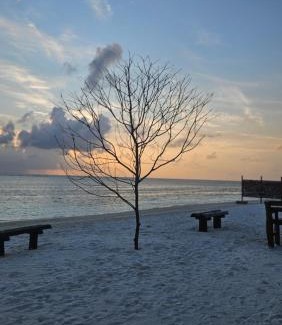Kaashidhoo House | Palmrest Kaashidhoo Maldives