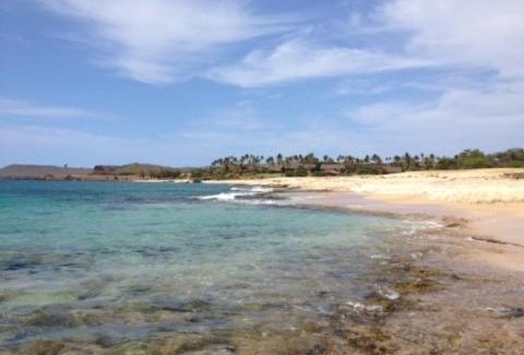 Maunaloa House | Paniolo Hale