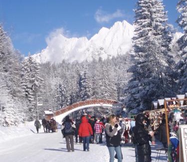 Strbske Pleso Apartment | Panorama Apartmany