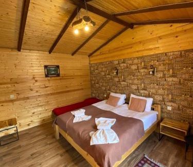 Stepantsminda Ski Chalet | Panorama Complex Kazbegi