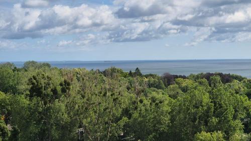 Kamienny Potok Apartment | Panorama