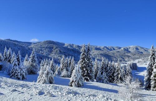 Pamporovo Apartment | Panorama Stoykite Eurydice