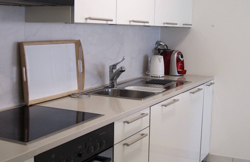 Locarno Apartment | Panoramic view of Lake 305