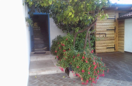 Sucuraj Apartment | Pansion Ivan, Sucuraj