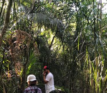 Visconde de Taunay Bed & Breakfast | Pantanal Ranch Meia Lua