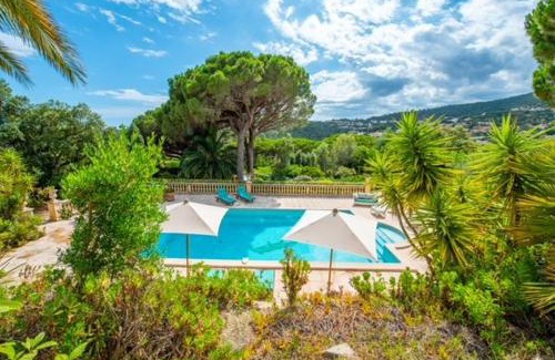 Sainte-Maxime Bed & Breakfast | Paradis Provençal