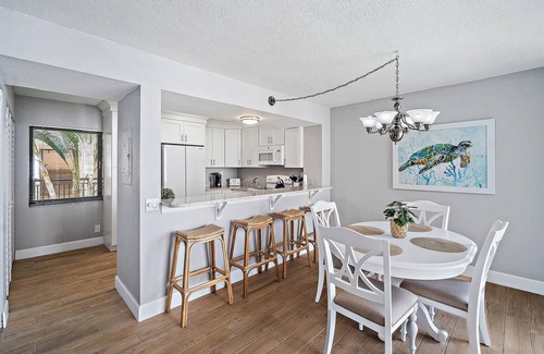 St. Petersburg Condo | Paradise Island - 5 min from the beach! La Puerta Isla Del Sol 2BR/2BA
