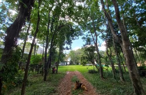 Posadas Apartment | Parana Riverside Guest House - Posadas