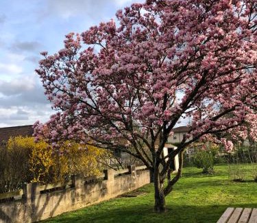 Saint-Etienne-sur-Reyssouze Bed & Breakfast | Parc de la Charmille