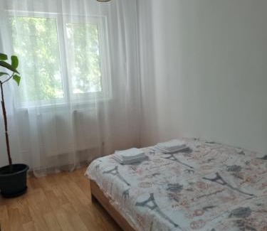 Braila Apartment | Park Avenue 3