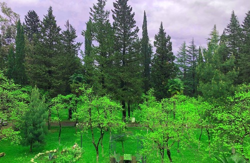 Kutaisi Hotel | Park Hotel Imeri Kutaisi