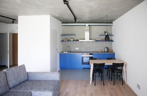 Birstonas Apartment | Park View Apartment