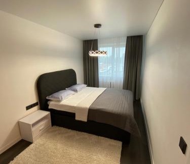 Panevezys Apartment | Parko 443